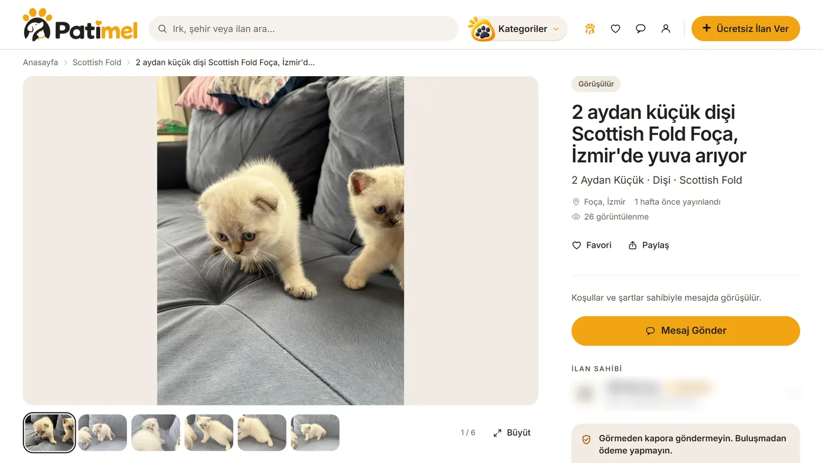 Patimel ilan detay sayfası: fotoğraf galerisi, küçük resimler, başlık ve mesaj butonu